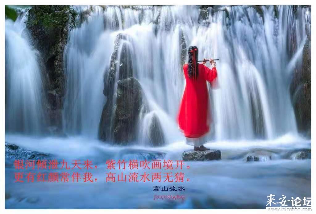 救援金发公主