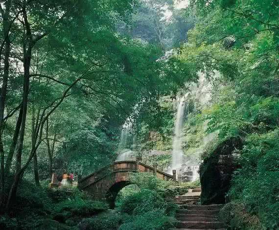逃出漂亮花谷