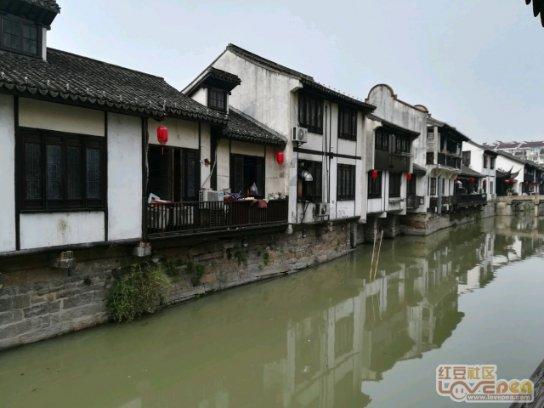 湖南省邵阳市双清区:村干部新思路解难题,助力“黄金果”成为真财富
