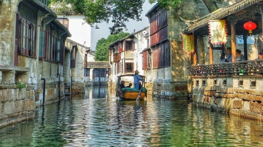 小长颈鹿逃离